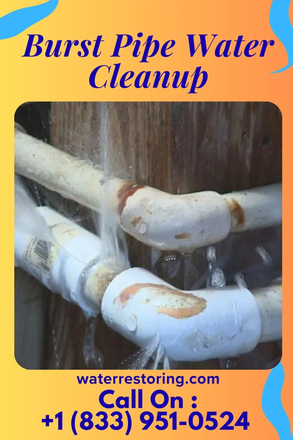 Burst Pipe Water Cleanup in Railroad, PA