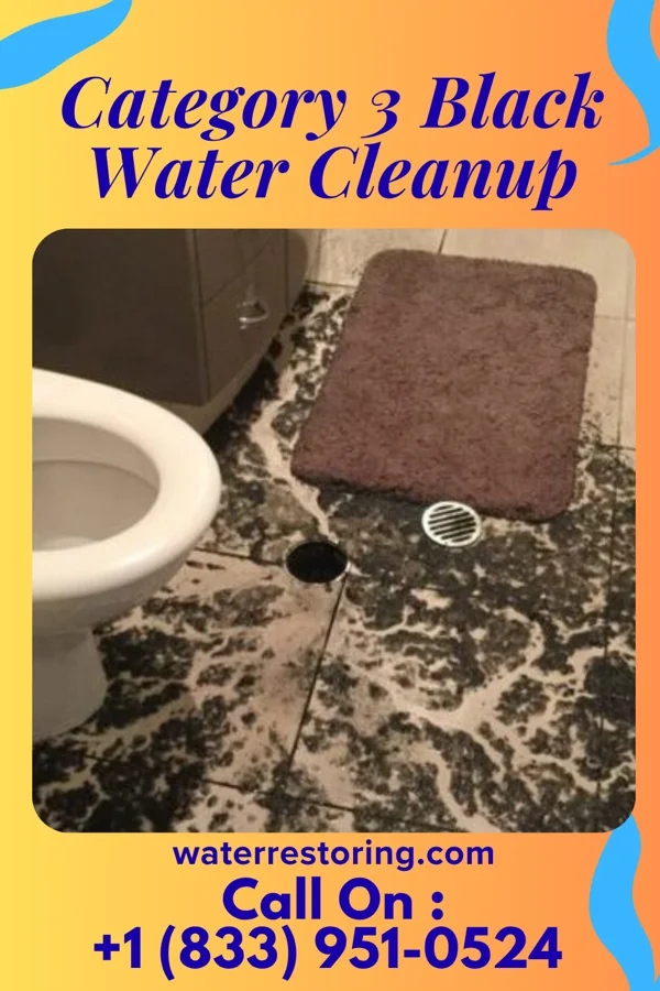 Category 3 Black Water Cleanup in Railroad, PA