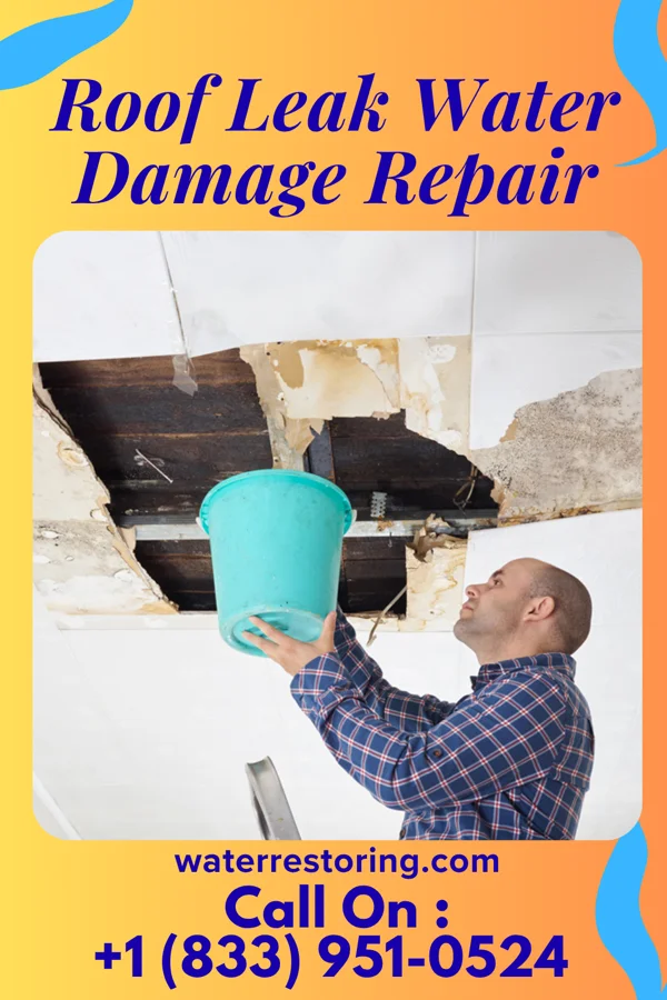 Roof Leak Water Damage Repair in Railroad, PA