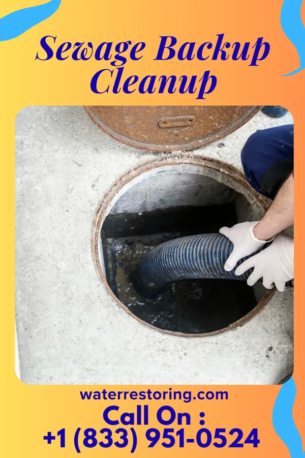 Sewage Backup Cleanup in Railroad, PA