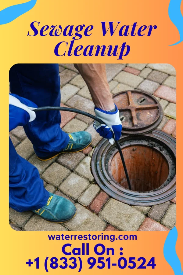 Sewage Water Cleanup in Railroad, PA