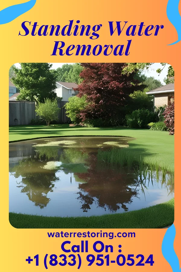 Standing Water Removal in Railroad, PA